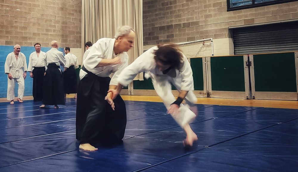 Flowing Aikido